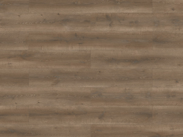 Laminat Lifestyle Trend Bellemont Oak black brown Landhausdiele