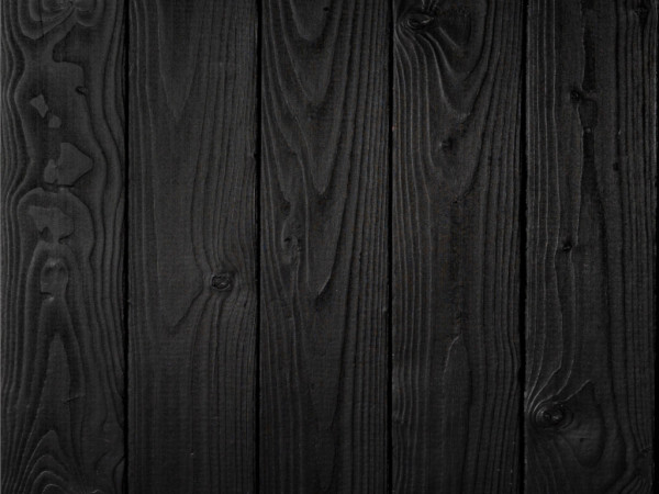 Fassadenprofil DRAGONwood Kiefer/Fichte