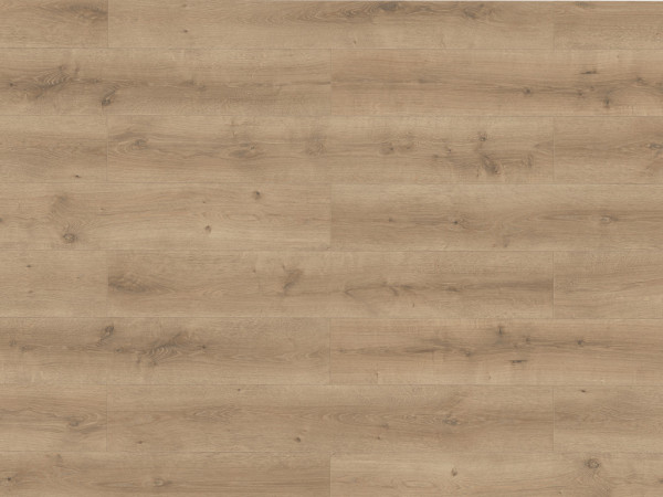 Laminat Lifestyle Trend Bellemont Oak grey brown Landhausdiele