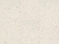 Korkboden cork Essence Personality Moonlight